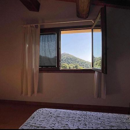 Agriturismo Il Sorbo Appartamento Menta Sticciano Exteriör bild