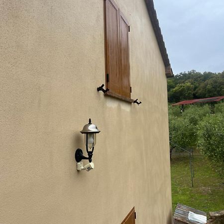 Agriturismo Il Sorbo Appartamento Menta Sticciano Exteriör bild