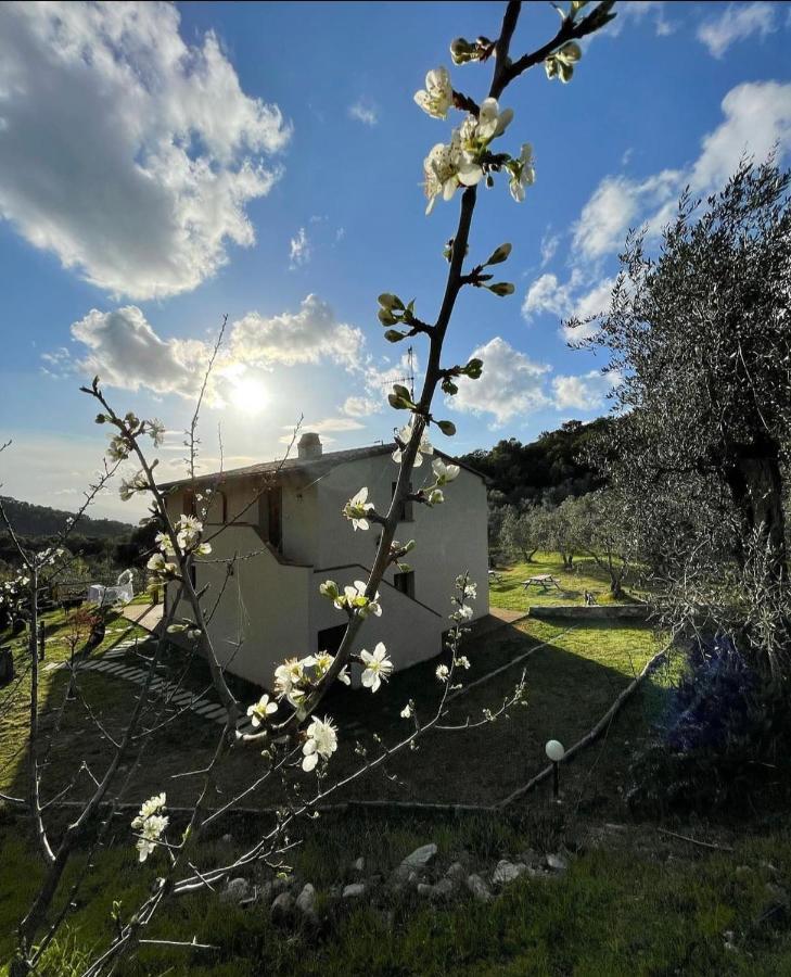 Agriturismo Il Sorbo Appartamento Menta Sticciano Exteriör bild
