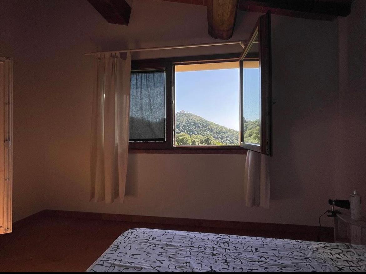 Agriturismo Il Sorbo Appartamento Menta Sticciano Exteriör bild